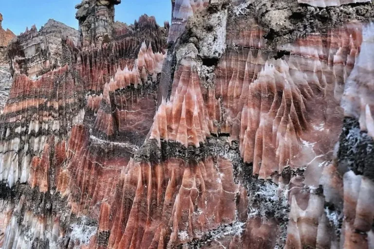 Bushehr province Bushehr province