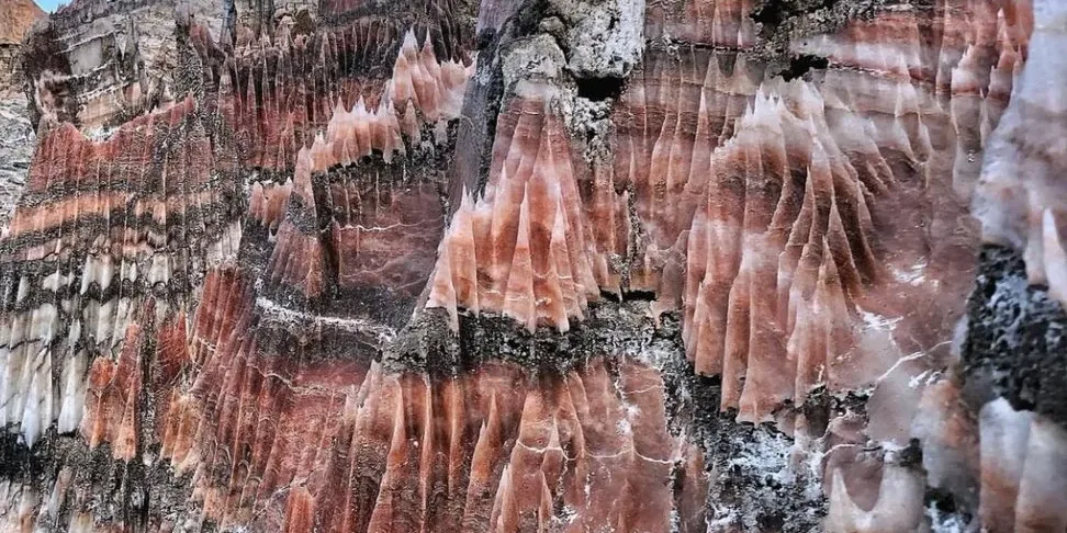 Bushehr province Bushehr province