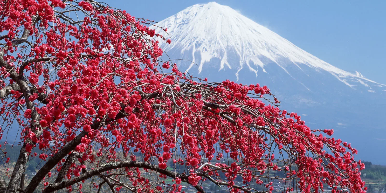 Mazandaran province Mazandaran province