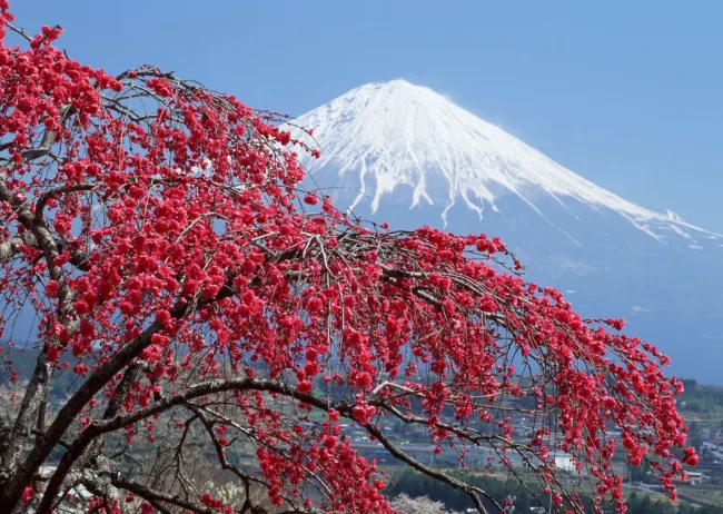 Mazandaran province Mazandaran province
