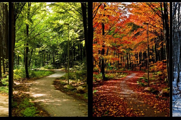 Iran The land of Four Seasons Iran The land of Four Seasons