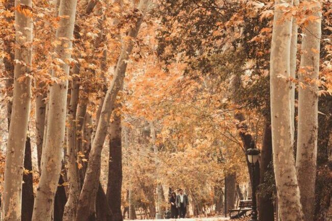 The Sa'ad Abad Complex