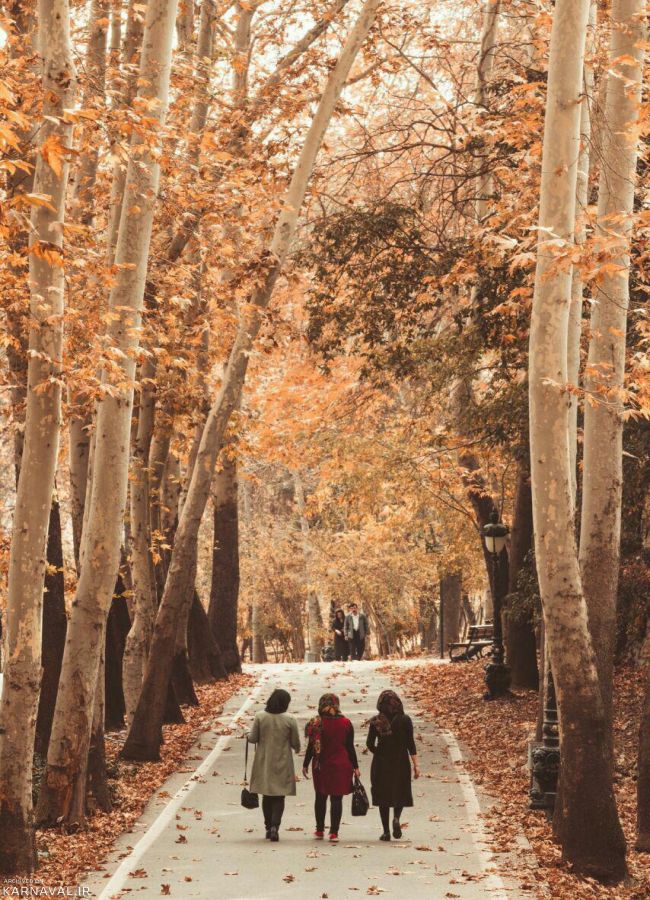 The Sa'ad Abad Complex