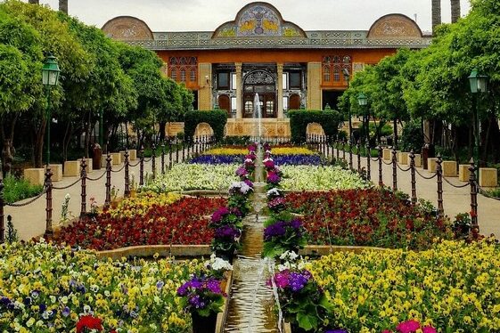 Lush garden with bitter orange trees at Narenjestan Garden